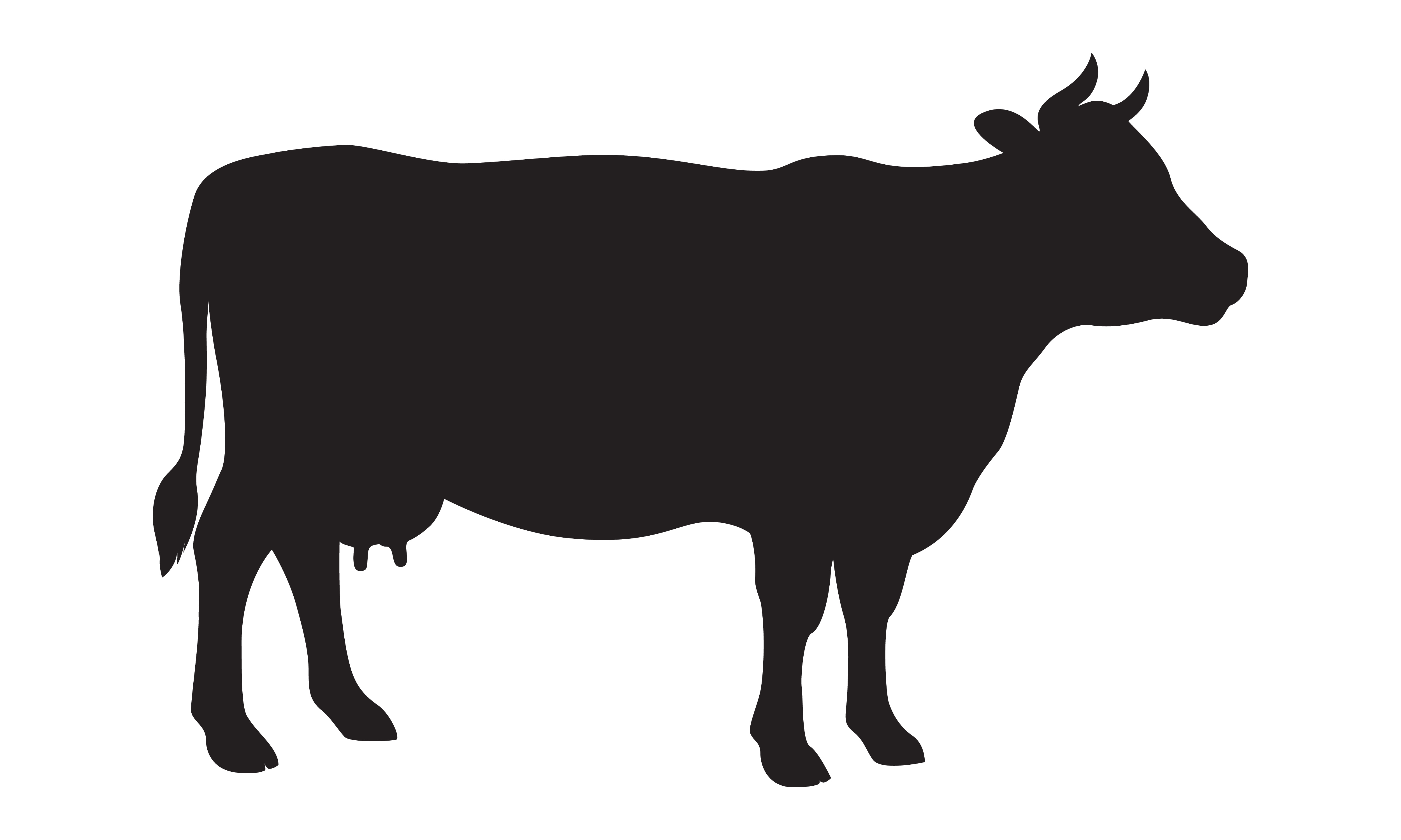 Cattle silhouette