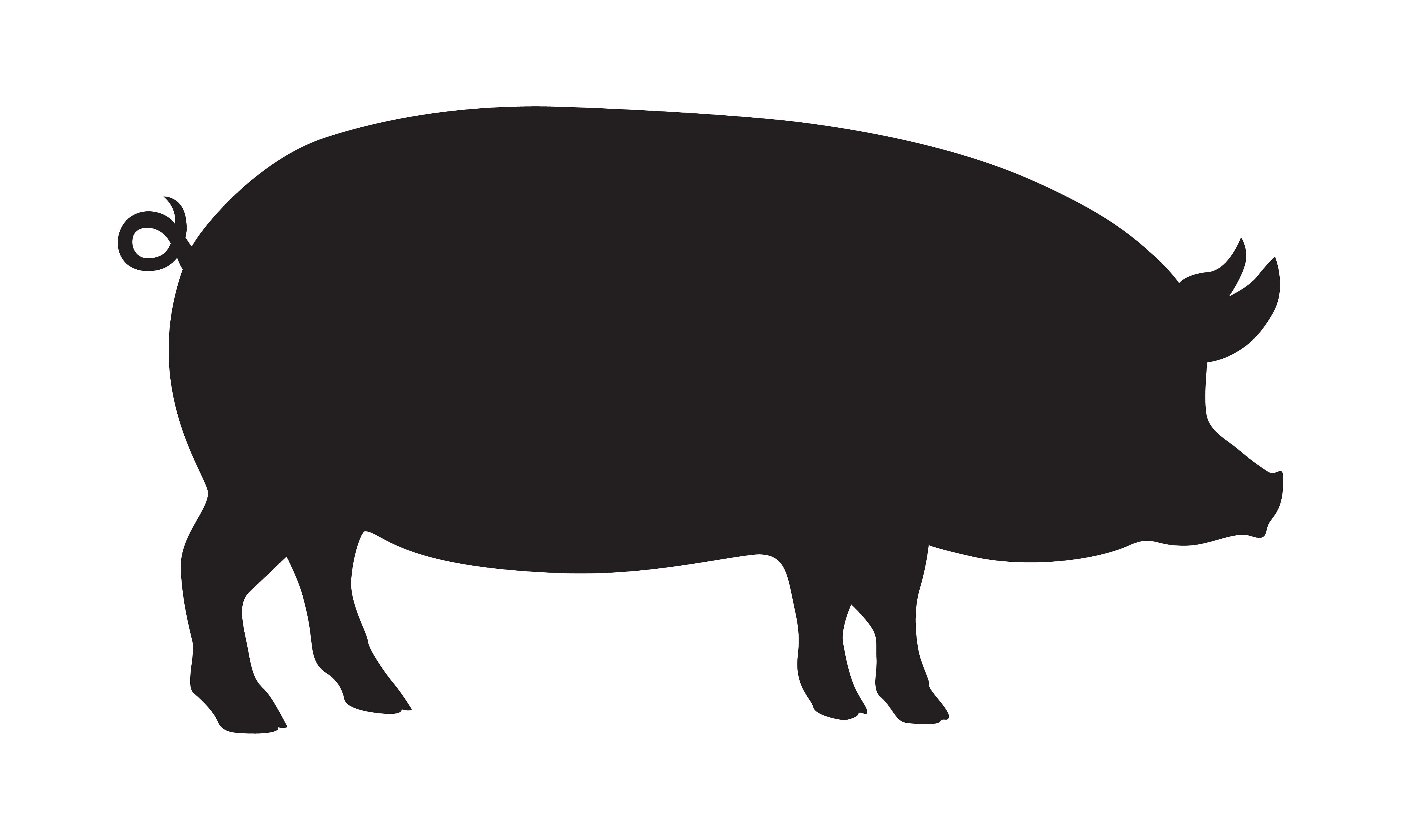 Pig silhouette
