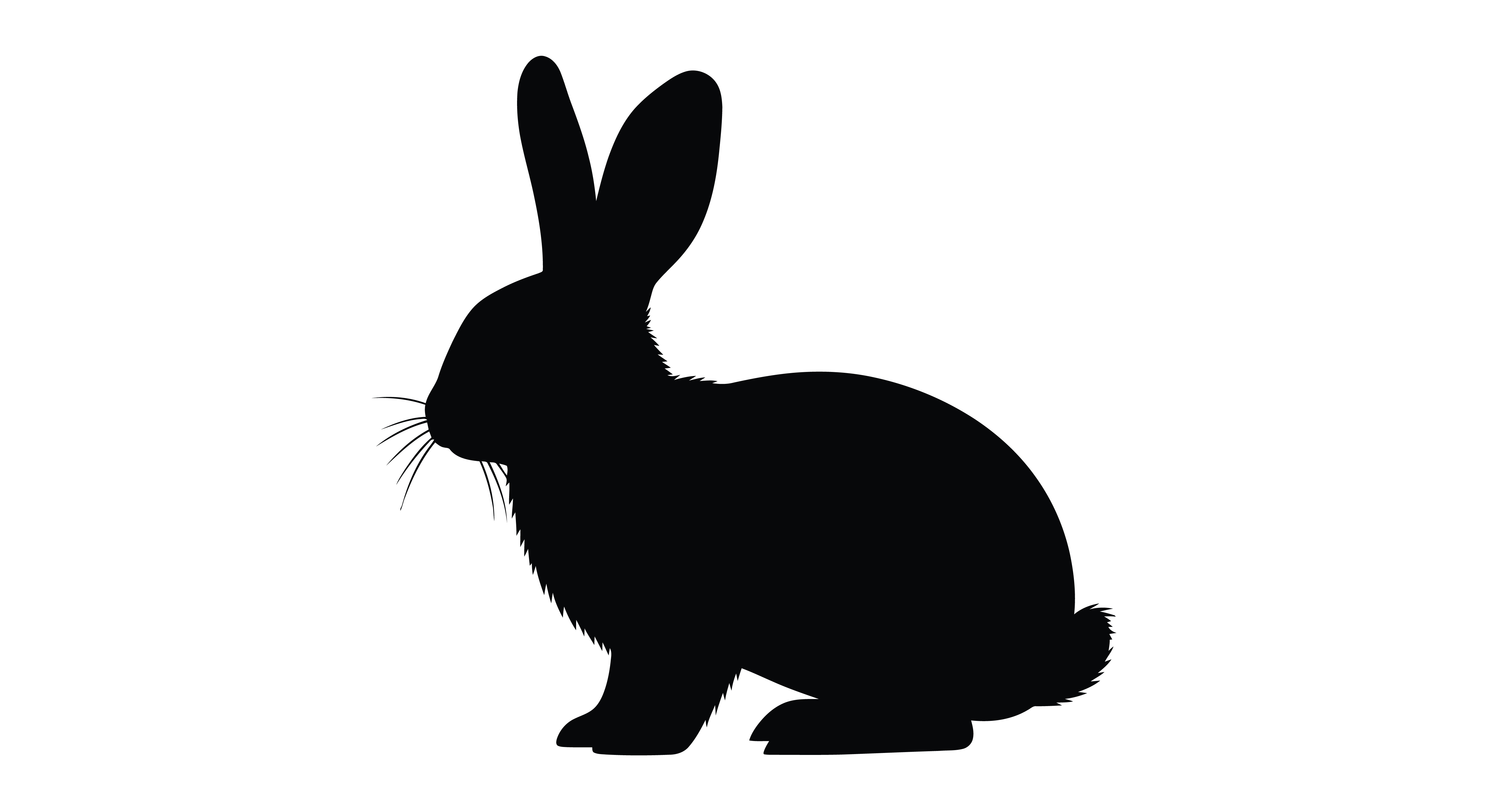Rabbit silhouette