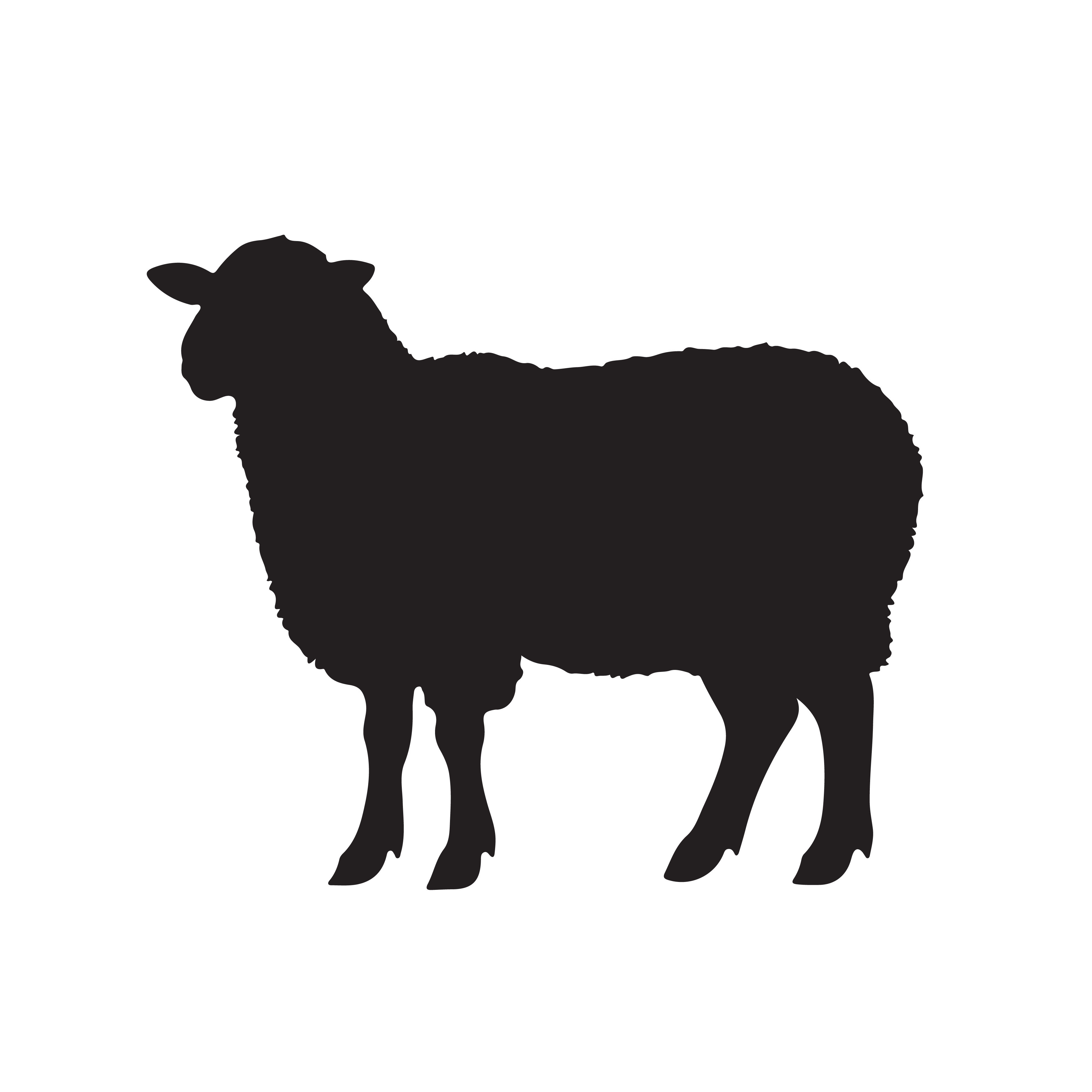 Sheep silhouette